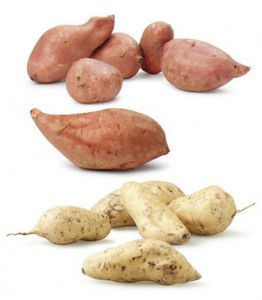 Клубни сладкого картофеля различной формы