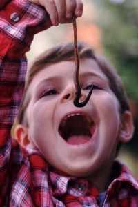 Поедание земляных червей угрожает их популяции