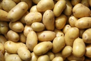 Здоровые клубни картофеля